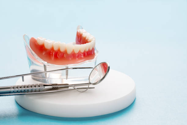 Best Dental Exams and Cleanings  in Monroeville, OH